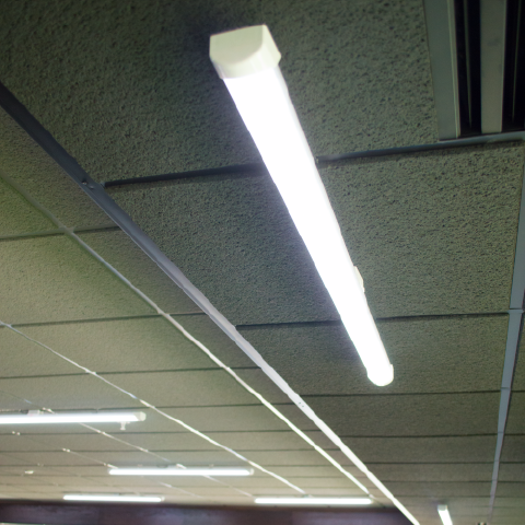 SmoothLite linear PoE lighting mounted in a T-bar ceiling grid