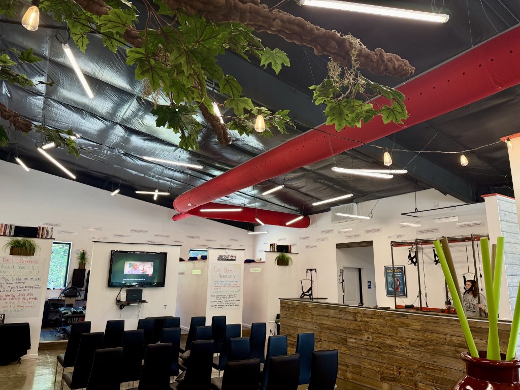 Liberation Chiropractic branded lobby with SmoothLite linear fixtures and string lights
